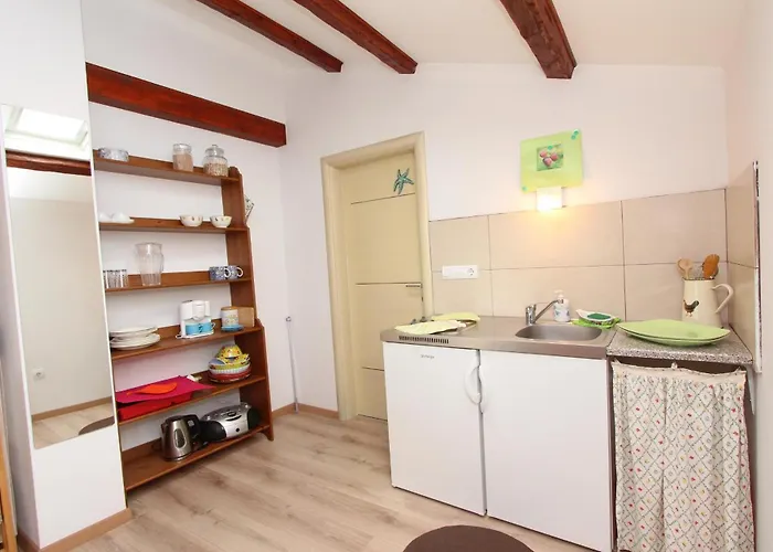 Studio Rovinj Home Διαμέρισμα *