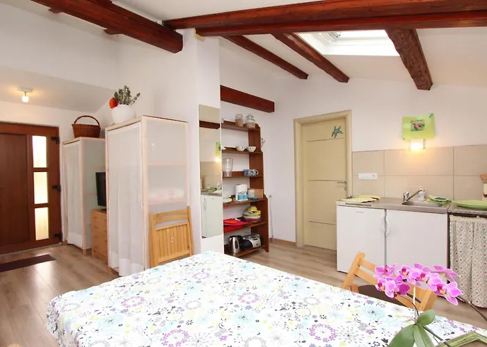 Apartamento Studio Rovinj Home *